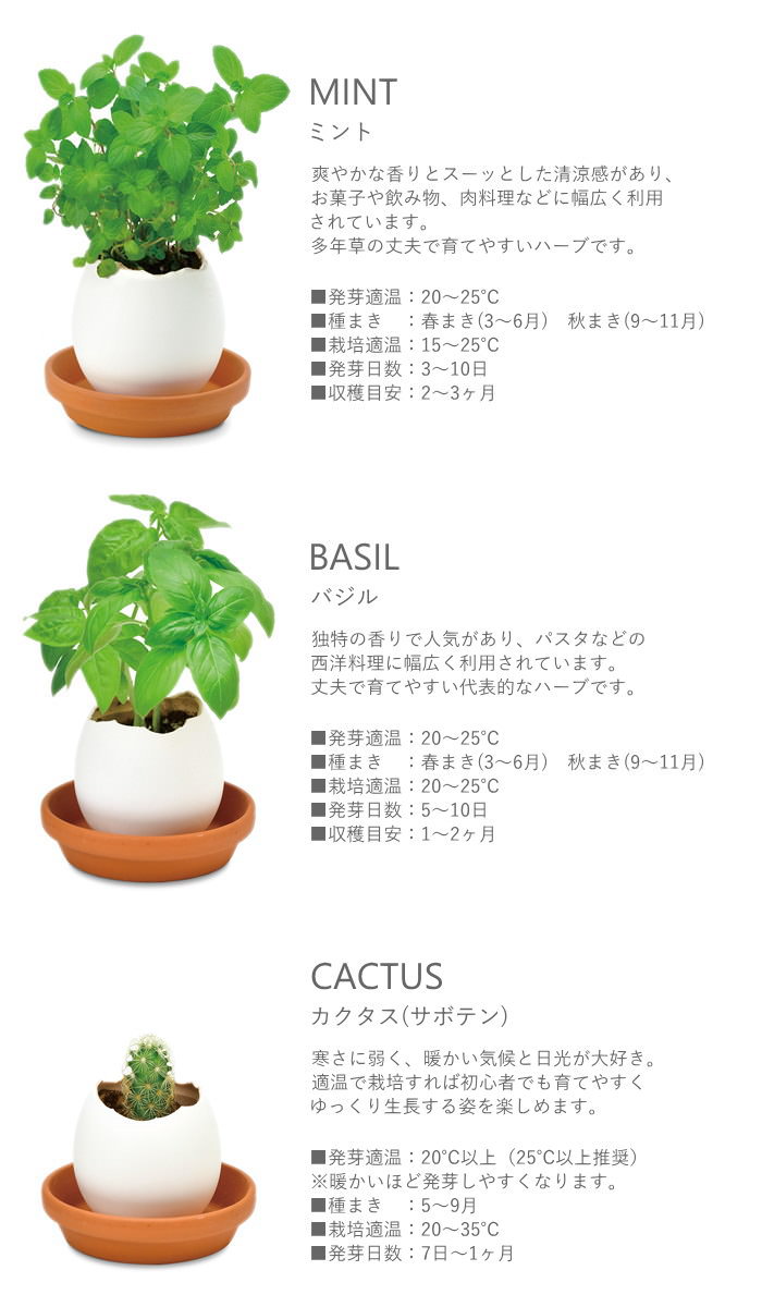 エッグリング クリアパッケージ クローバー 栽培セット 栽培キット