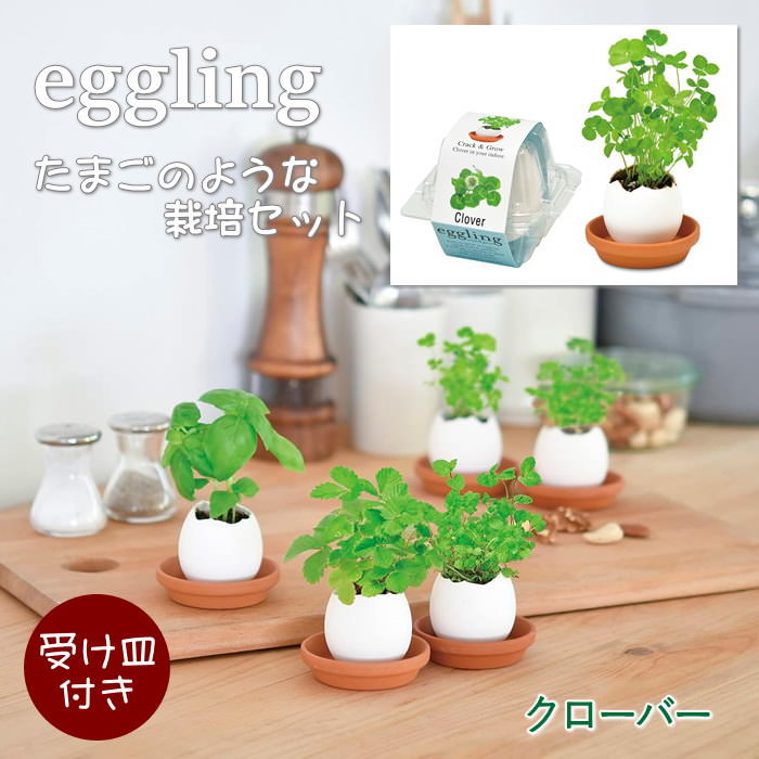 エッグリング クリアパッケージ クローバー 栽培セット 栽培キット