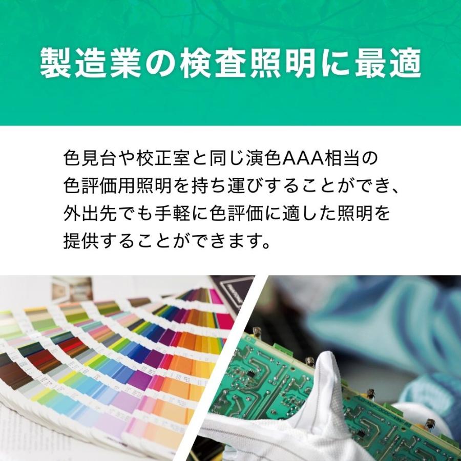 エコリカ 高演色 LED ハンディライト ワークライト 昼白色 250ルーメン