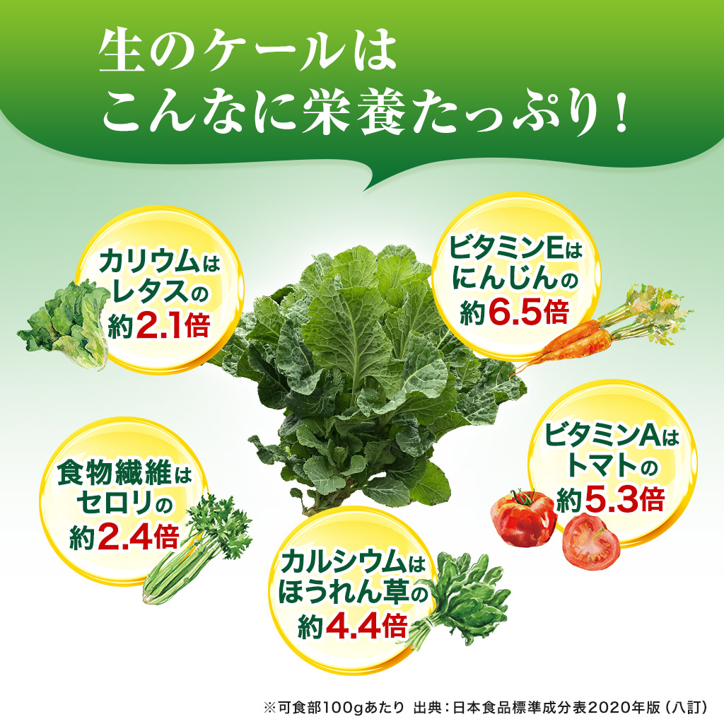 生のケールはこんなに栄養たっぷり！