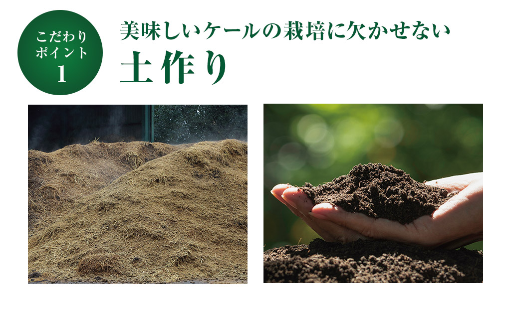 美味しいケールの栽培に欠かせない土作り