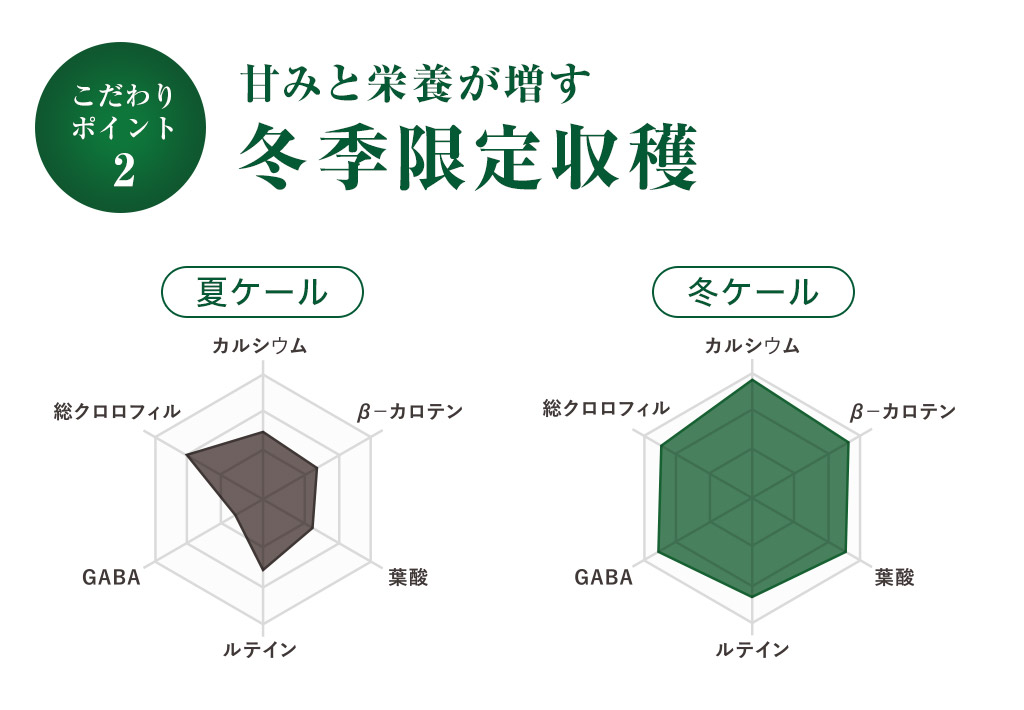 甘みと栄養が増す冬季限定収穫