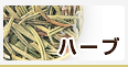ハーブ