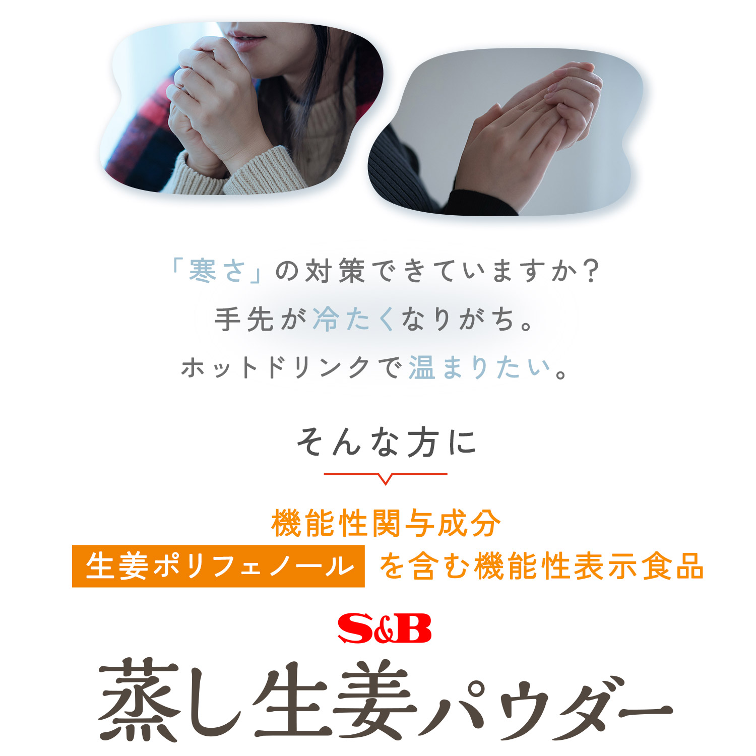 蒸し生姜パウダー