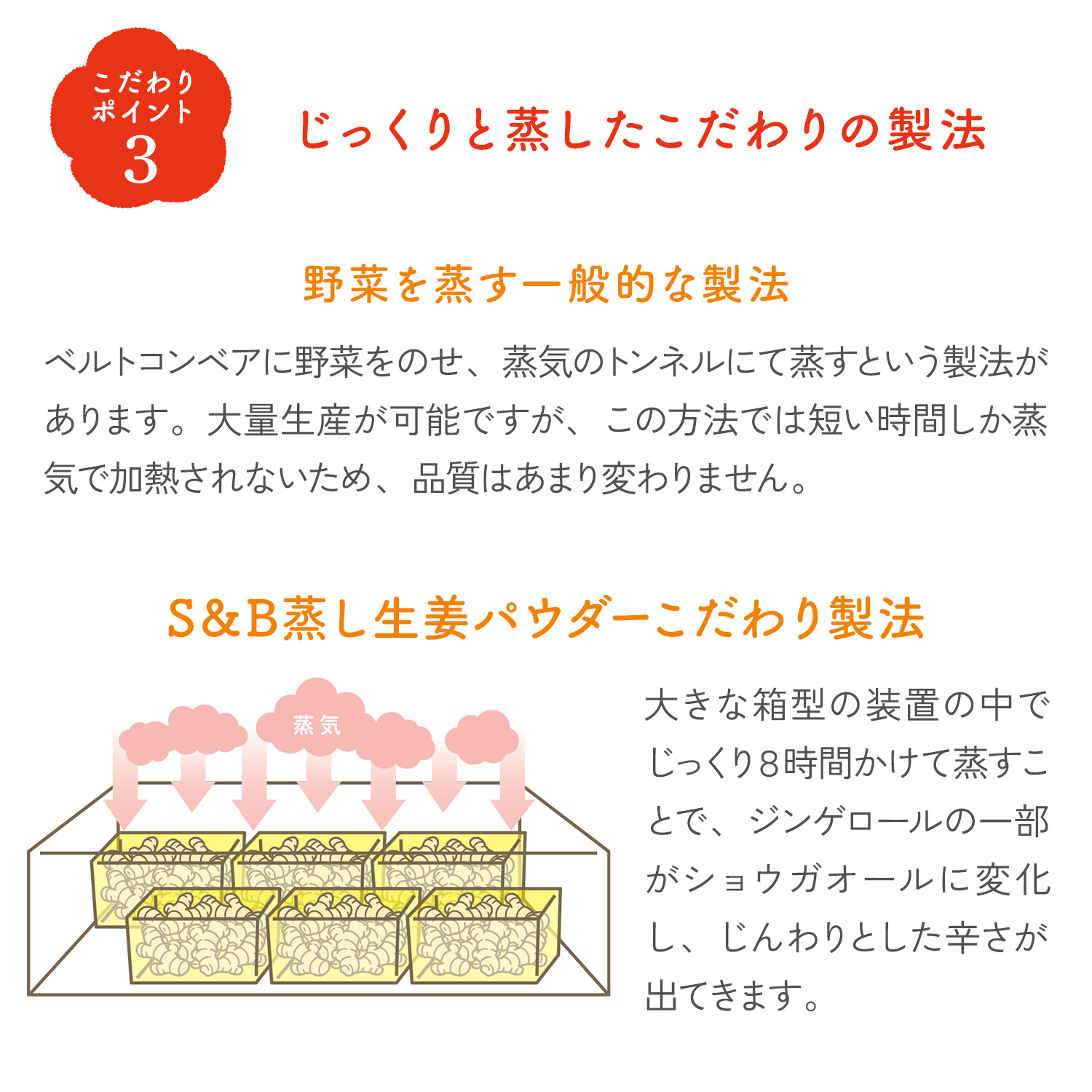 蒸し生姜パウダー