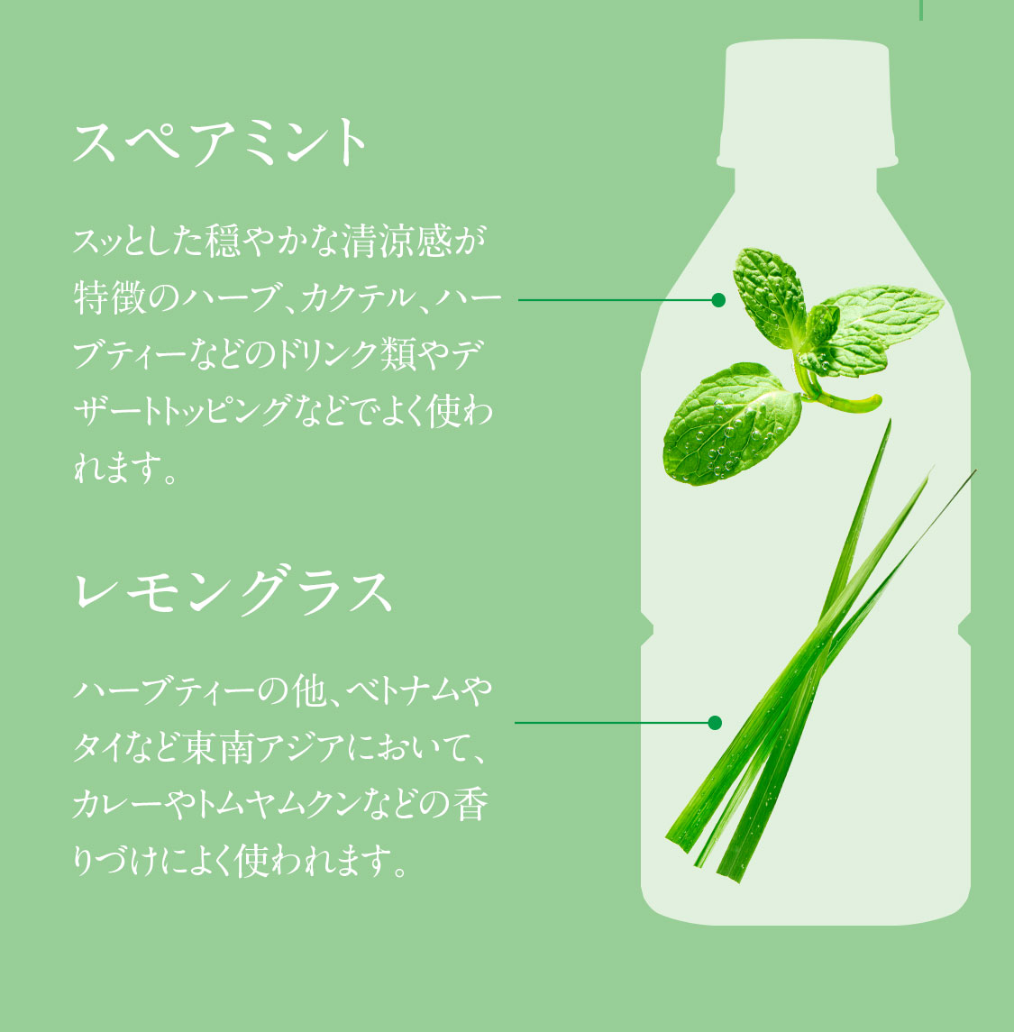 フレッシュハーブティー