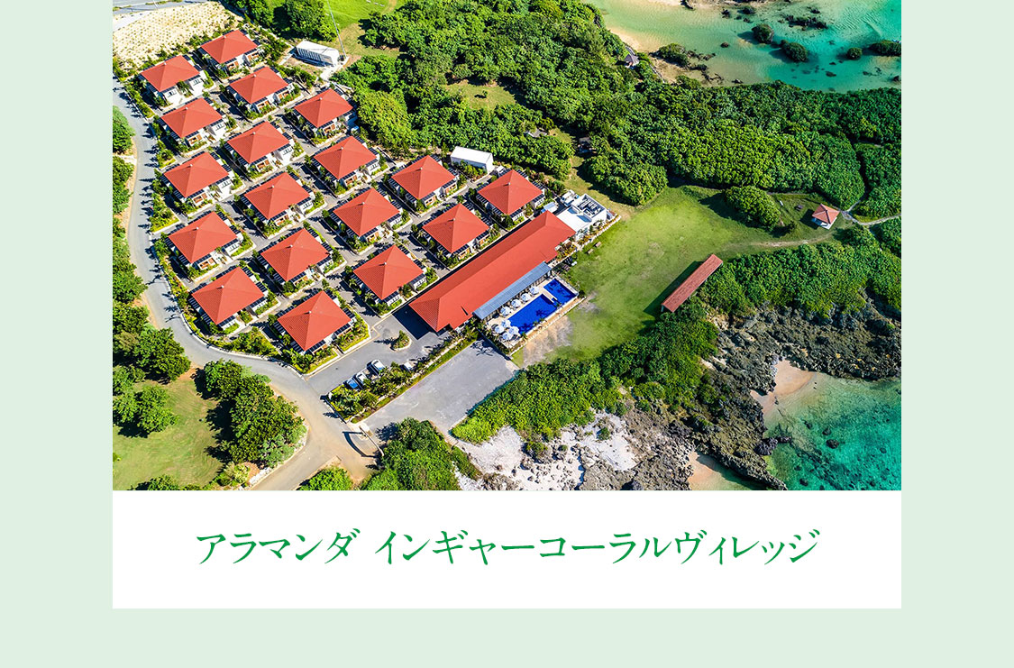 フレッシュハーブティー