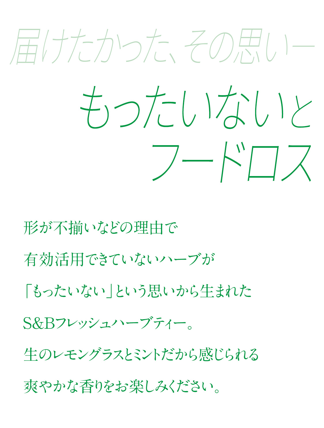フレッシュハーブティー