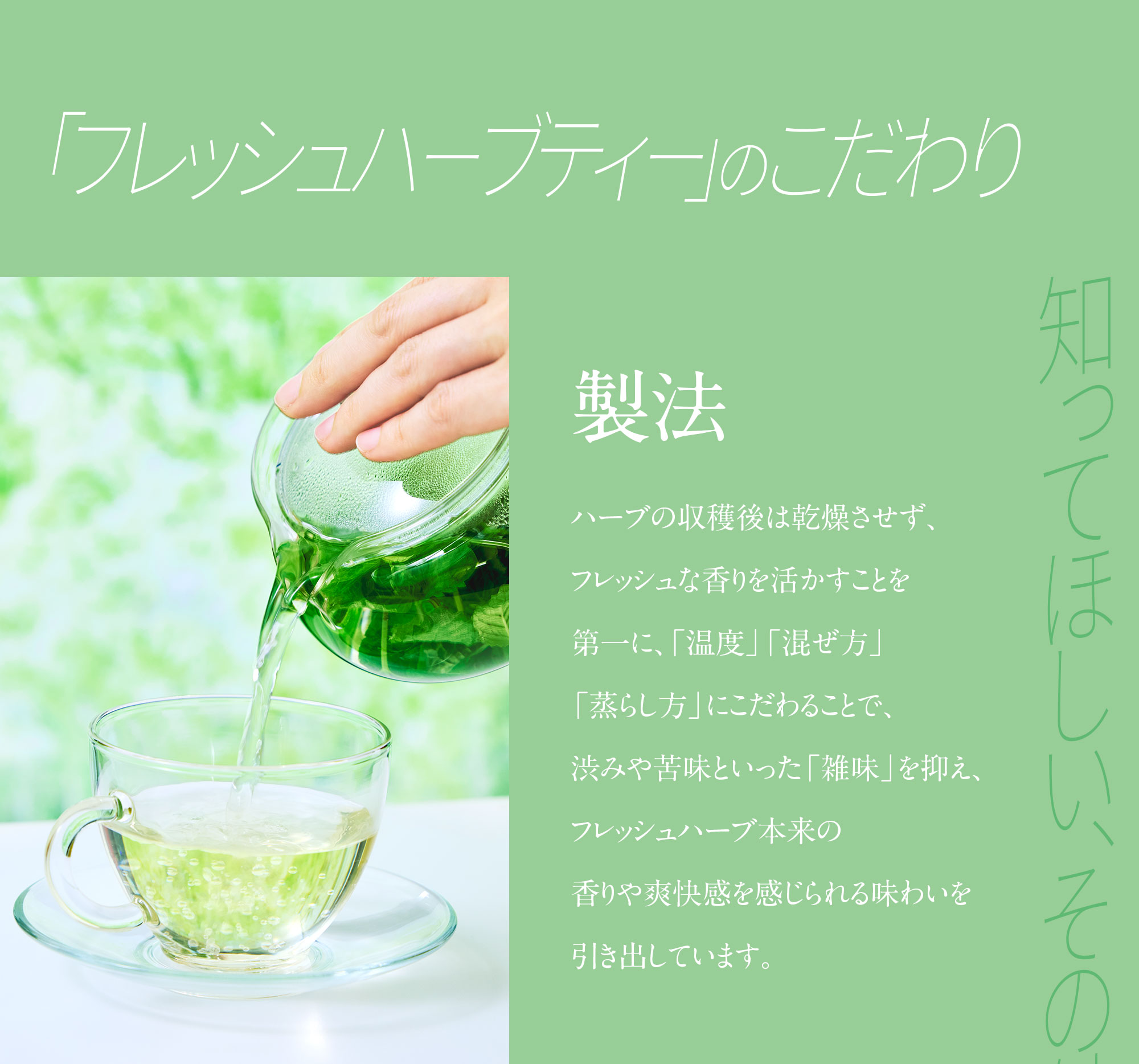 フレッシュハーブティー