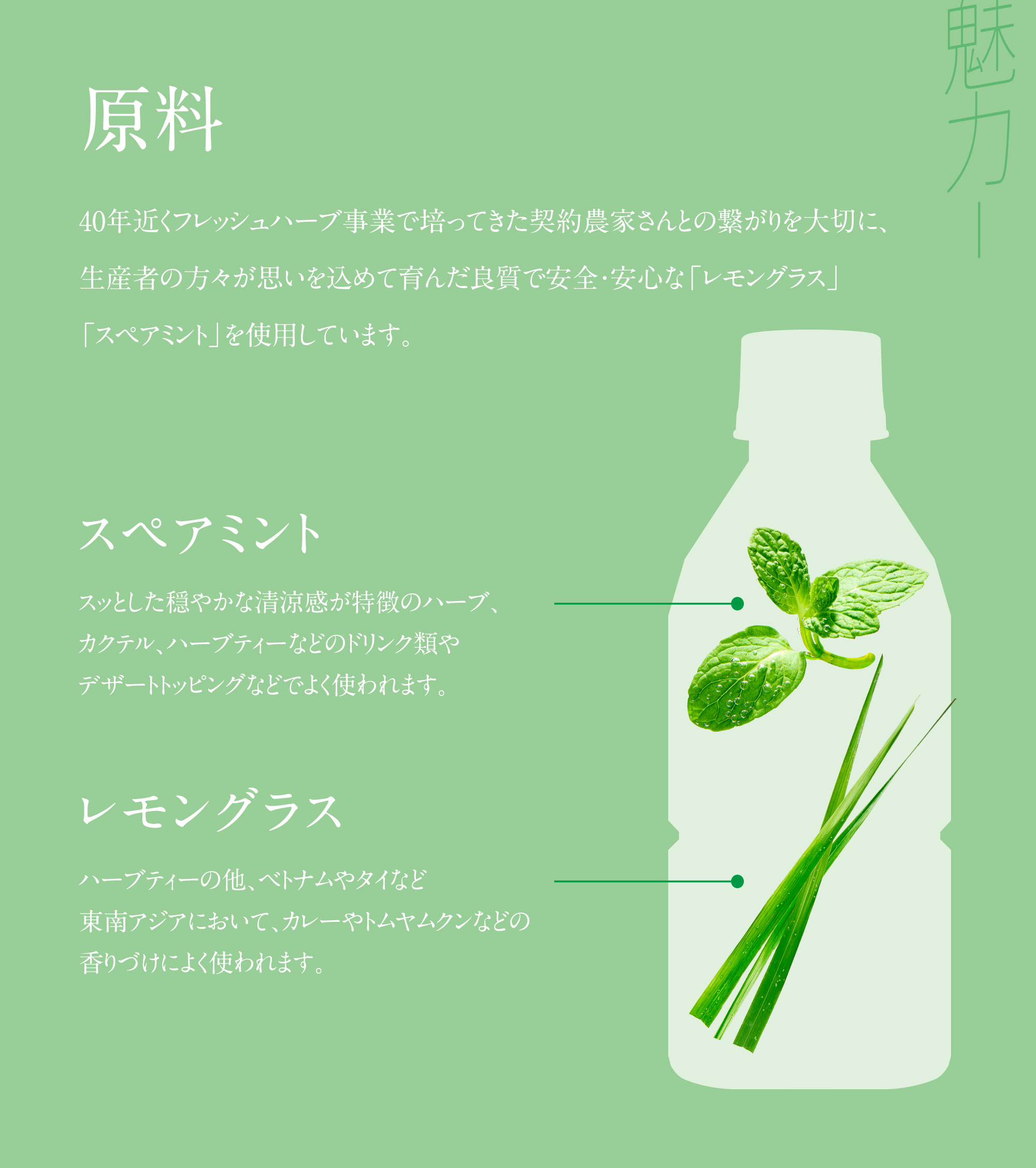 フレッシュハーブティー