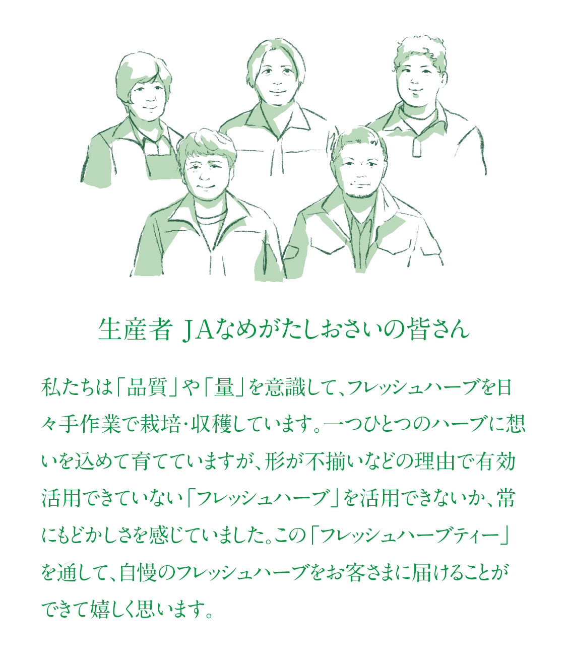 フレッシュハーブティー
