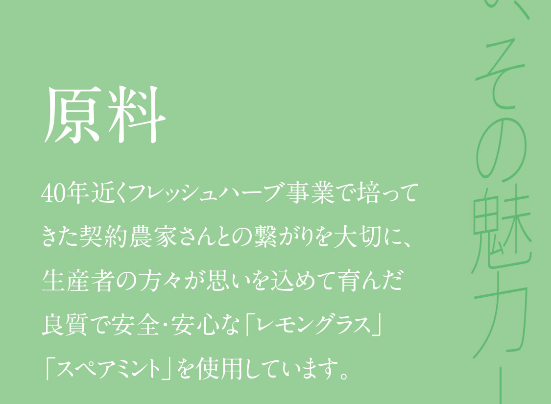 フレッシュハーブティー