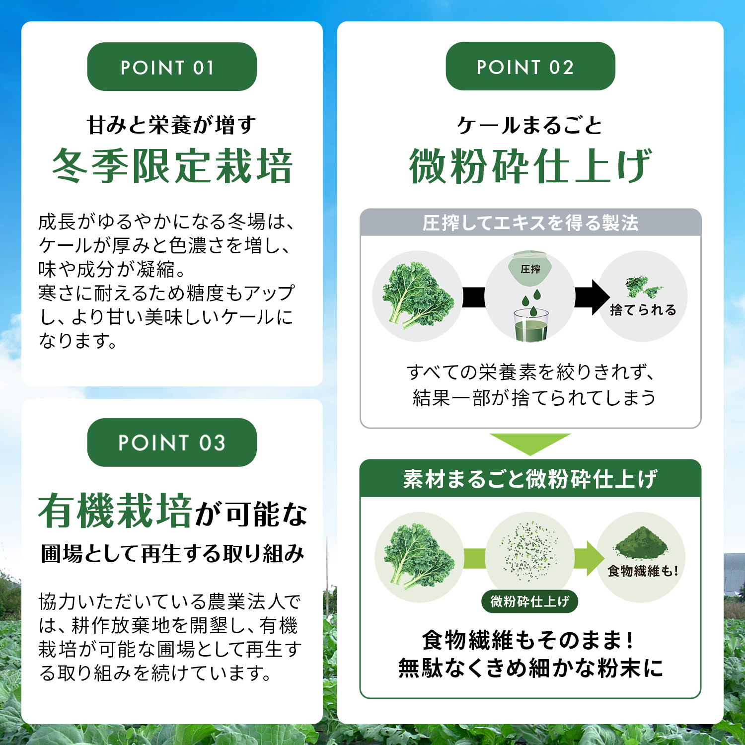 朝のからだ青汁