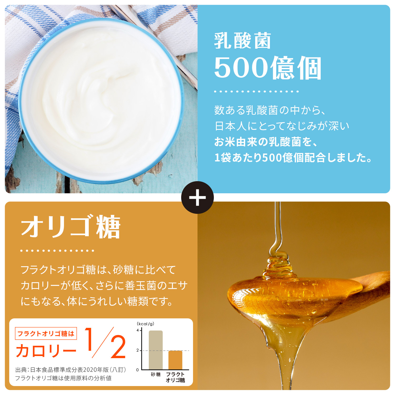 朝のからだ青汁
