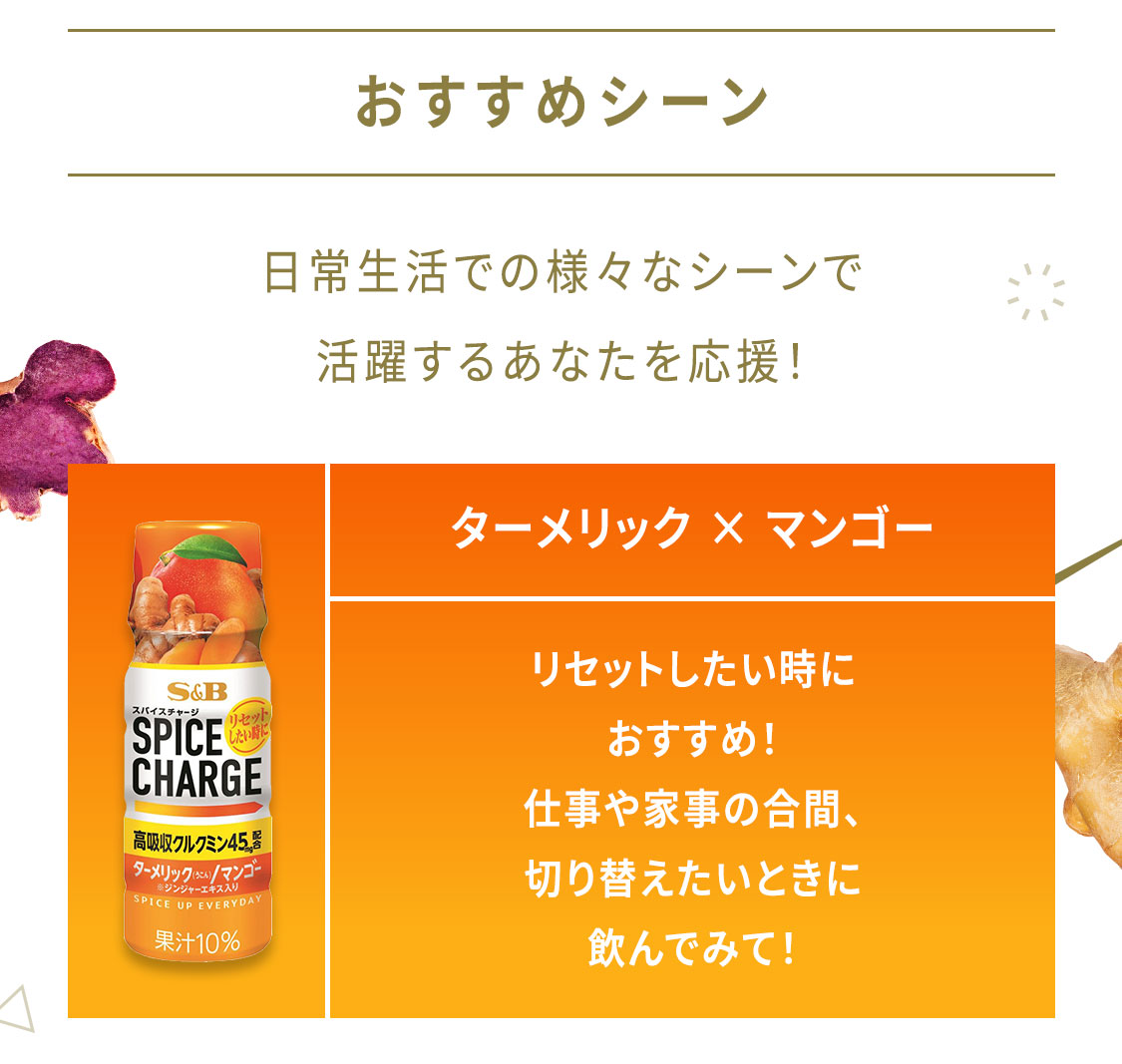 スパイスチャージ