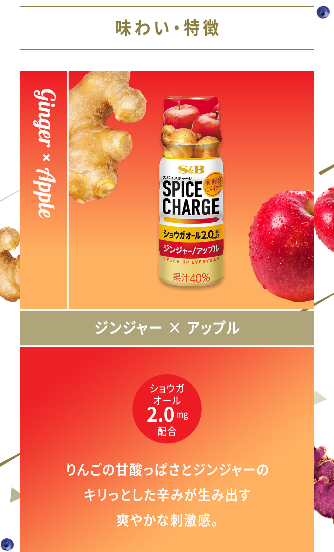 スパイスチャージ