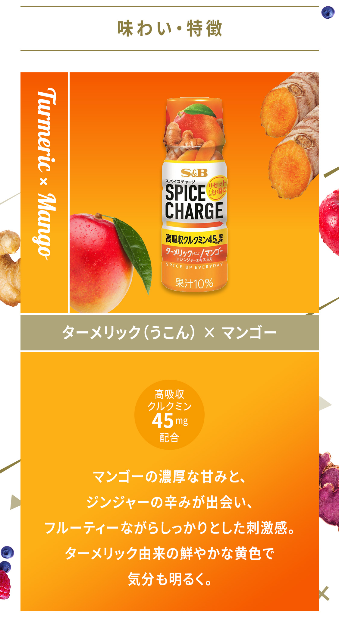 スパイスチャージ