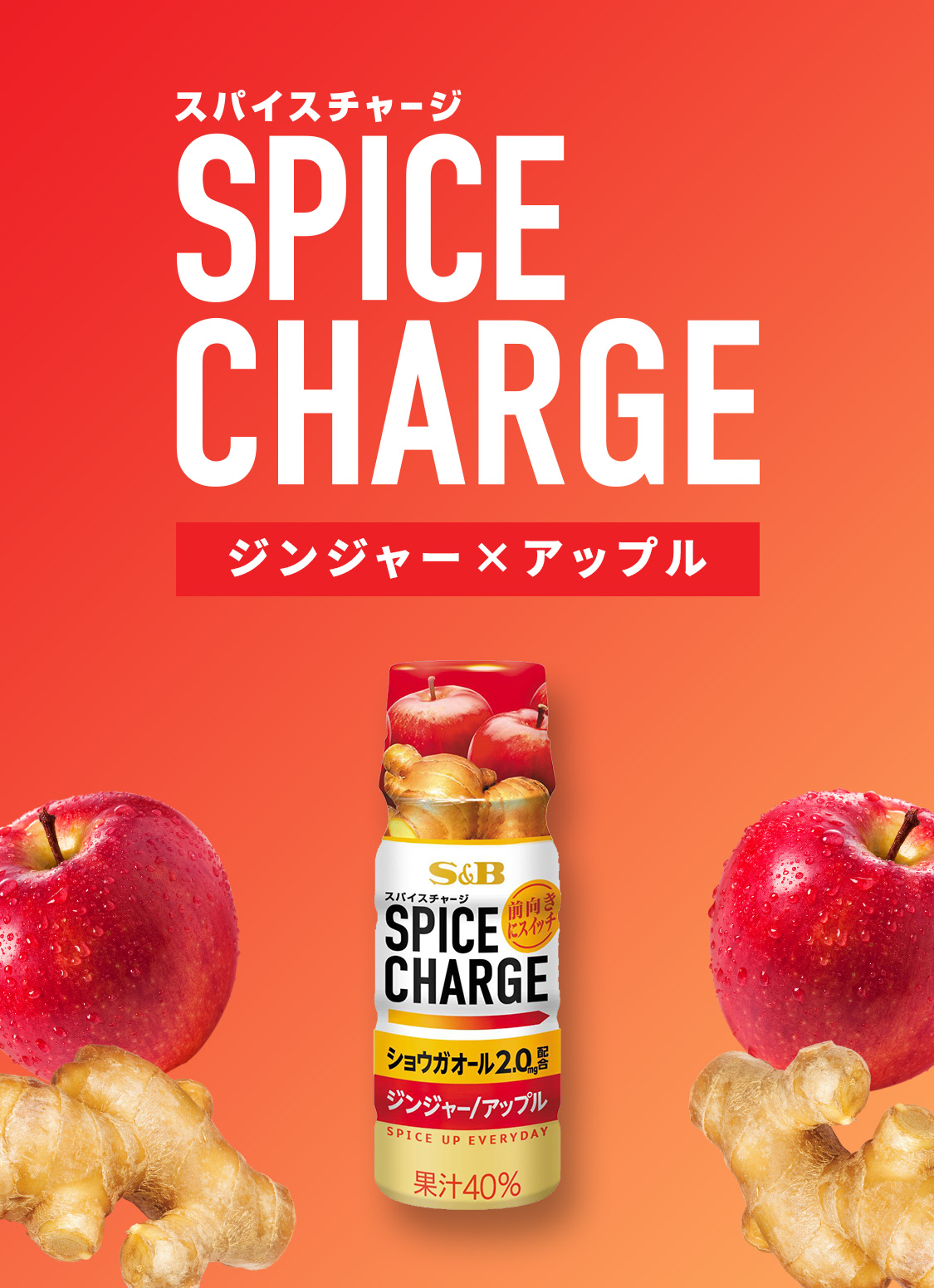 スパイスチャージ
