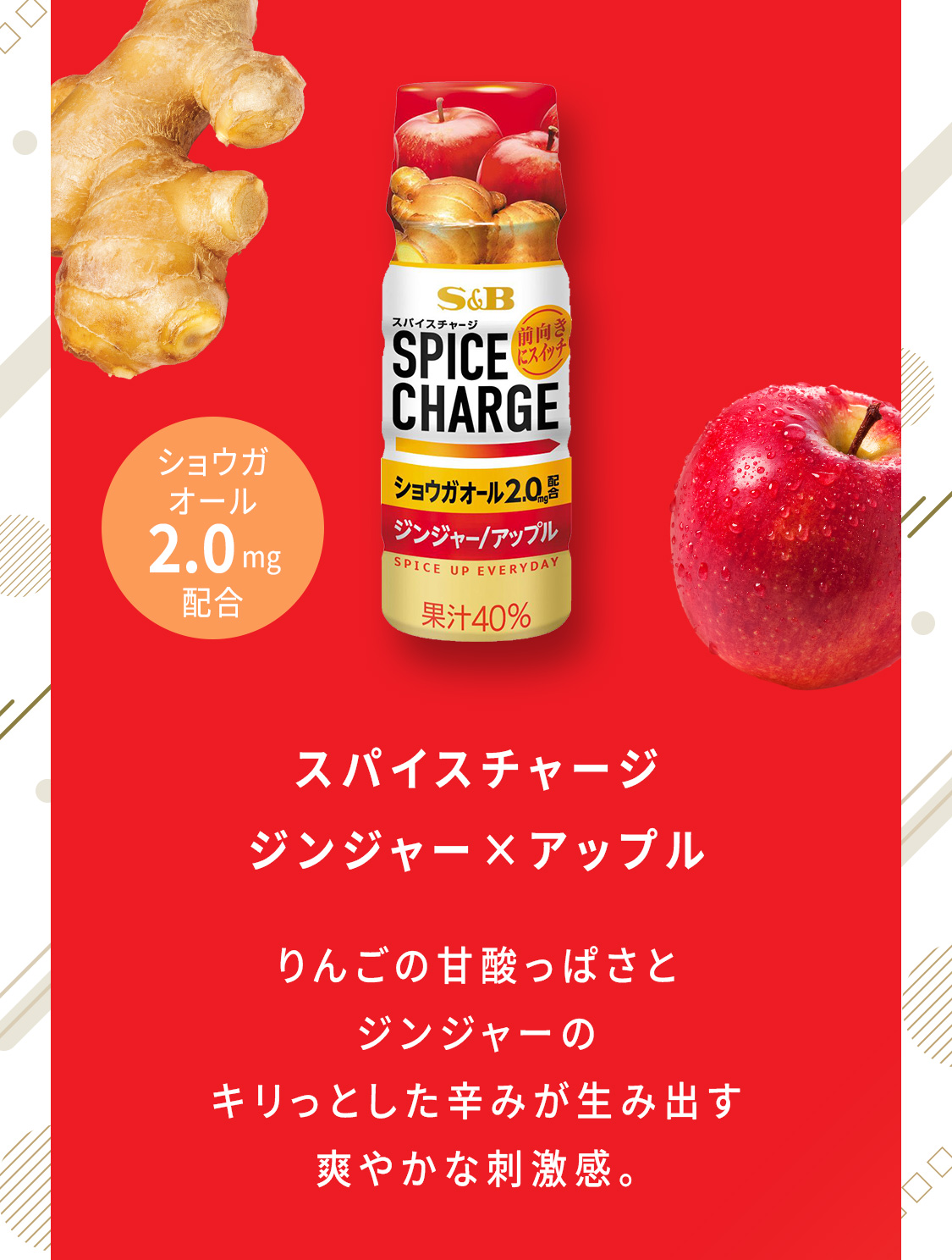 スパイスチャージ