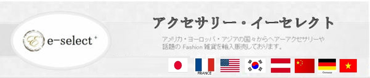 イーセレクト ヘッダー画像