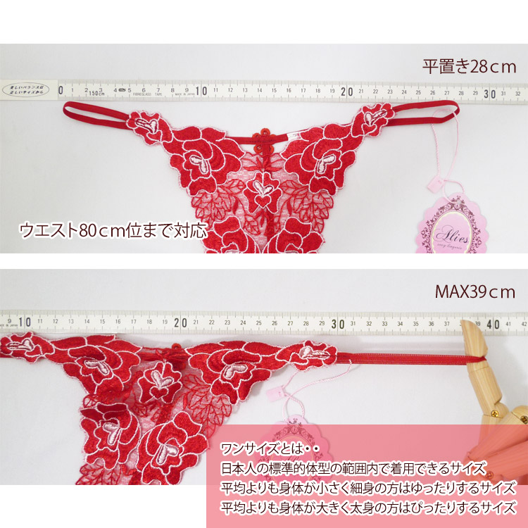 【ANTIGEL】新作ショーツ★Stricto Sensuelle ★ハイウエスト ANTIGEL】新作ショーツ☆Stricto Sensuelle ☆ハイウエスト
