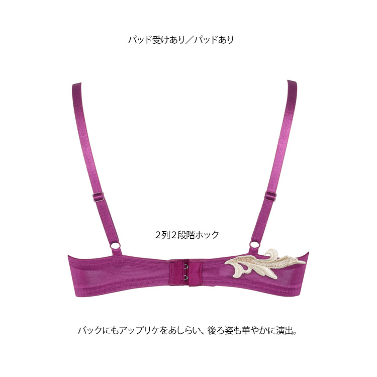 サルート（SALUTE） ワコール 94G VIVA LINE ブラジャー DEFカップ