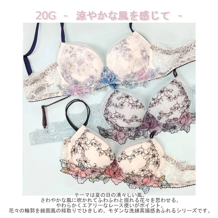 WACOAL ワコール プレミアム 20シリーズ ブラジャー DEFカップ