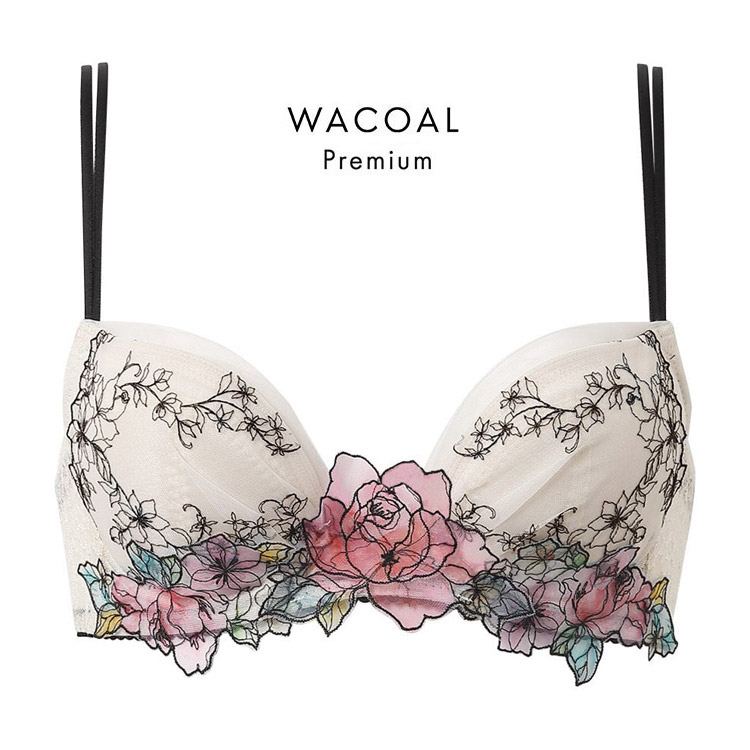 WACOAL（ワコール） プレミアム 20シリーズ ブラジャー DEFカップ