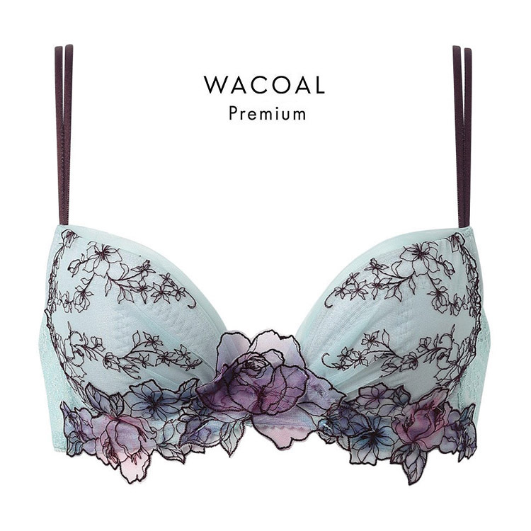WACOAL ワコール プレミアム 20シリーズ ブラジャー DEFカップ