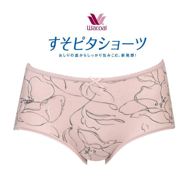 ワコール　ラゼ/着やせすっきりブラBFA425 すそぴたショーツC75Mピンク bfa425 ブラジャー | 通販・人気ランキング - 価格.com