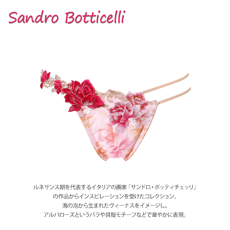【新品未使用】ワコール サルート 90g  Tバック ショーツ salute サルート（SALUTE） salute 21 ワコール wacoal PTJ421 Tバック
