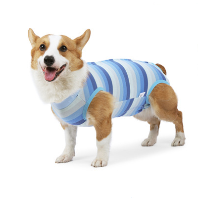 犬の服 犬の大きさ 中型 犬服 アクセサリー 犬用品 ペット用品 生き物 通販 Yahoo ショッピング 犬の服 犬の大きさ 中型 犬服 アクセサリー 犬用品 ペット用品 生き物 通販 Yahoo ショッピング