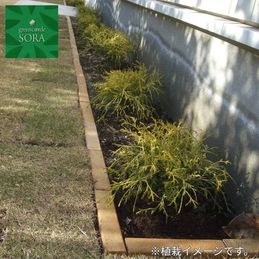 植栽イメージ