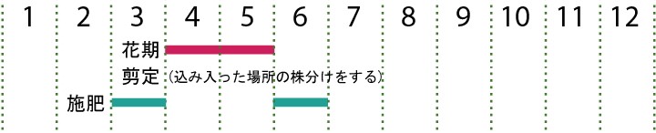 開花カレンダー（フッキ草）