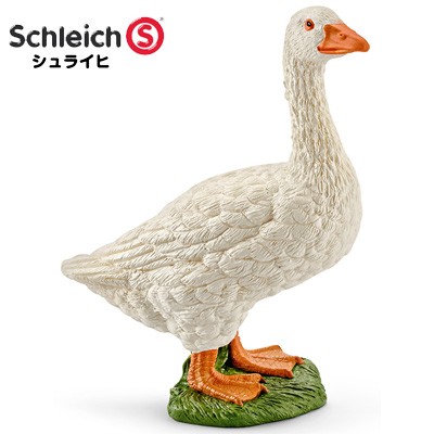 シュライヒ ワイルドライフ オオハシ フィギュア 14777 dwos6rj Amazon.co.jp: シュライヒ ワイルドライフ オオハシ フィギュア