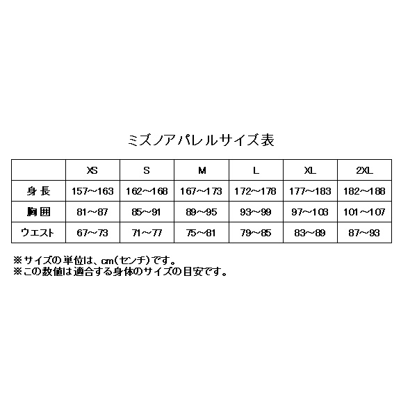 MIZUNO ミズノ マイクロフト トレーニングクロスハーフパンツ N2JD9021