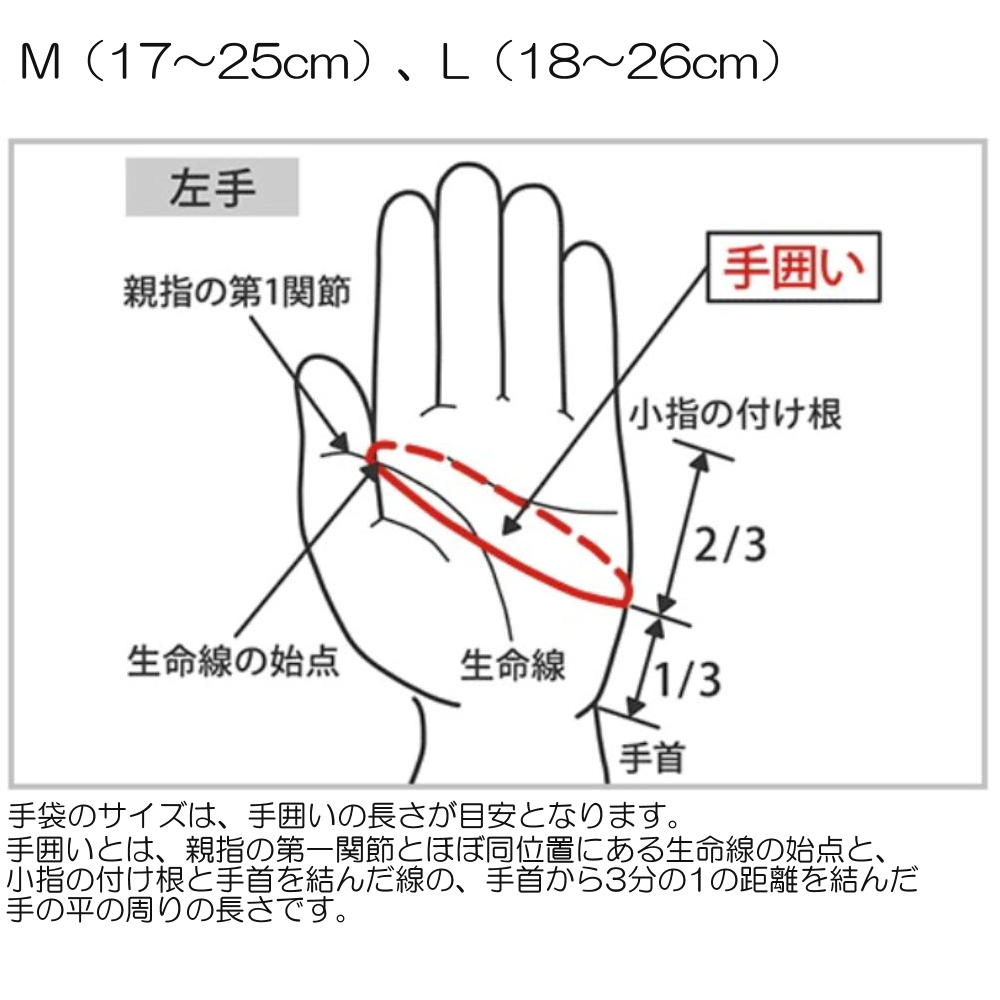 ミズノ MIZUNO 水泳 アクアミット水中プログラム エクササイズ アクアビクス ウォーキング フィットネス N2JVB010 | MIZUNO | 04
