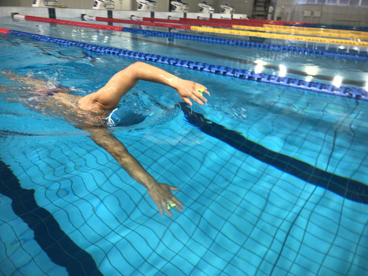 スイムブレース SWIMBRACE スモールサイズ 2個1組 水泳 競泳 練習 トレーニング 練習用具 開封後返品交換不可 SBS2 |  | 07