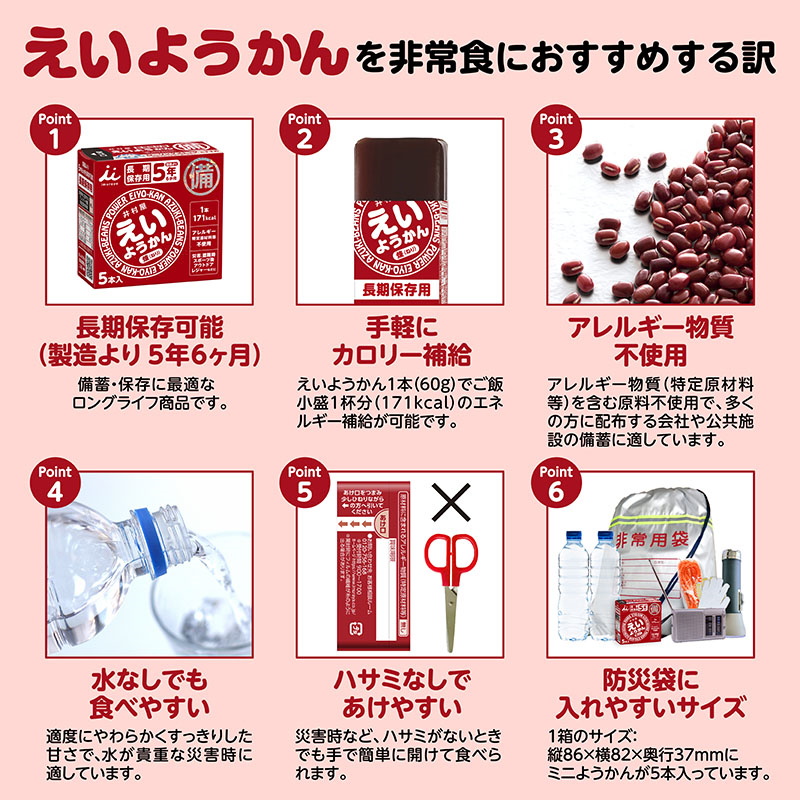 井村屋（imuraya） えいようかん ようかん 羊羹 60g×5本入 行動食 登山