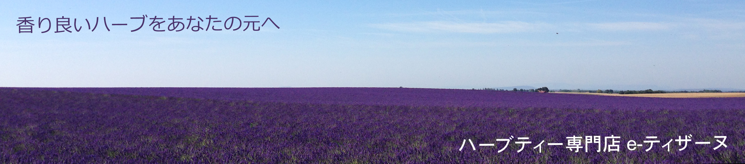 e-ティザーヌ ヘッダー画像