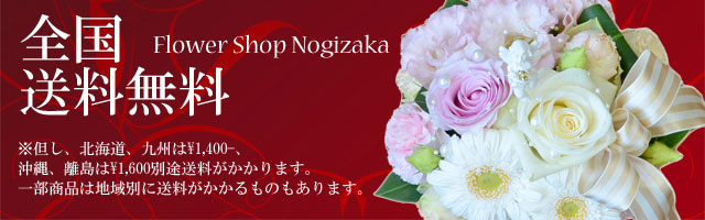 送料無料　但し北海道、九州、沖縄、離島は別途送料がかかります