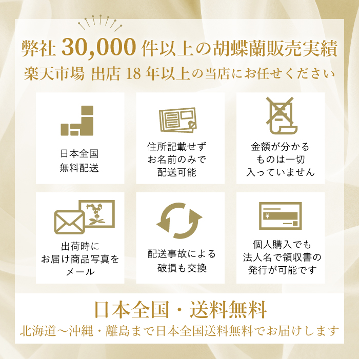 30,000件以上の販売実績、楽天市場 出店18年以上の実績