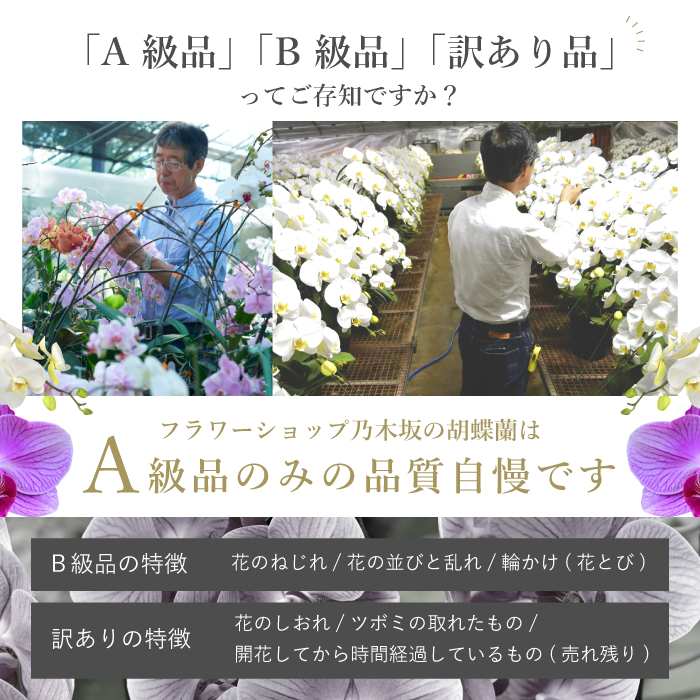 A級品 B級品 訳あり品ってご存知ですか？