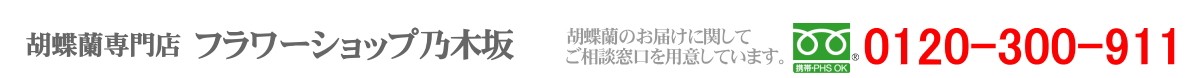 胡蝶蘭専門店　フラワーショップ乃木坂　0120-300-911