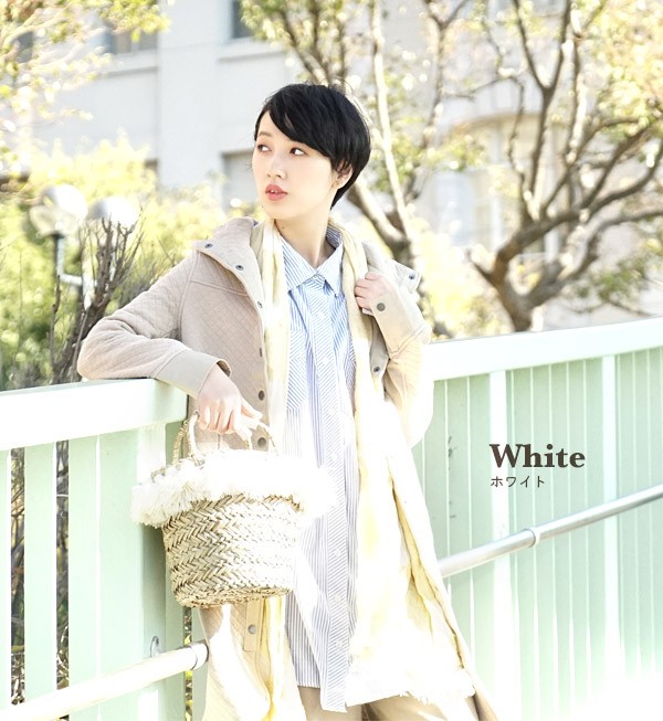 バサグラン液剤 500ml 40本 ケース特価