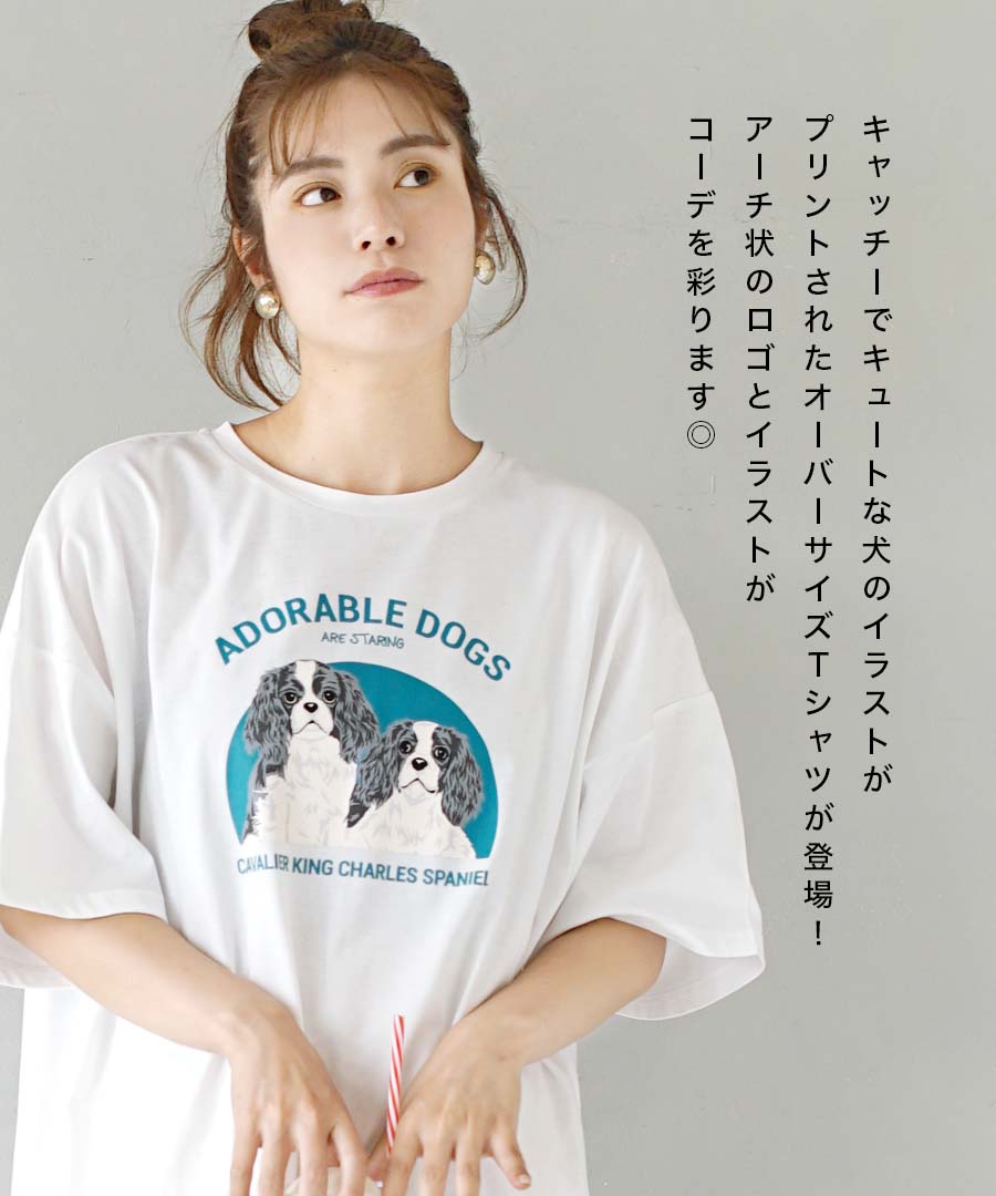 Tシャツ レディース 秋 夏服 トップス カットソー プルオーバー 動物 ロゴT プリント イラスト 半袖 丸首 クルーネック DOGプリント BIG  TEE