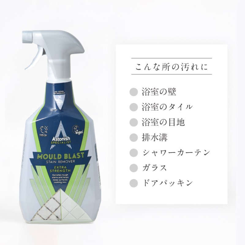 アストニッシュ タイル目地クリーナー