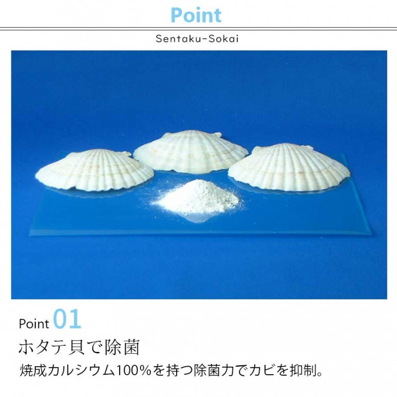 洗濯槽快 2包組 ネット付き