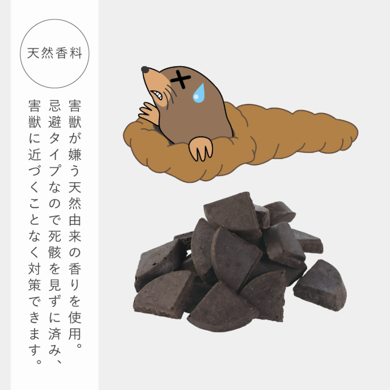 モグラ、こな〜い！