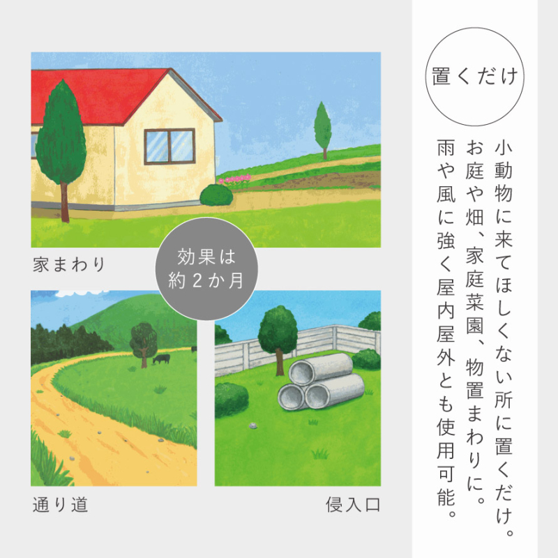 モグラ、こな〜い！